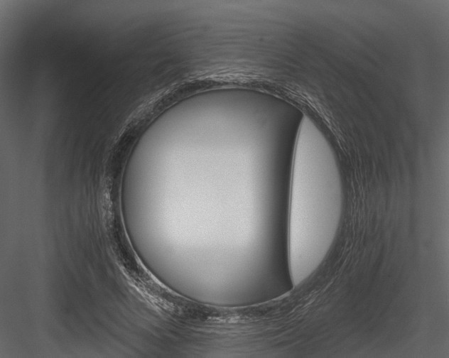 X0000084550688200702230935