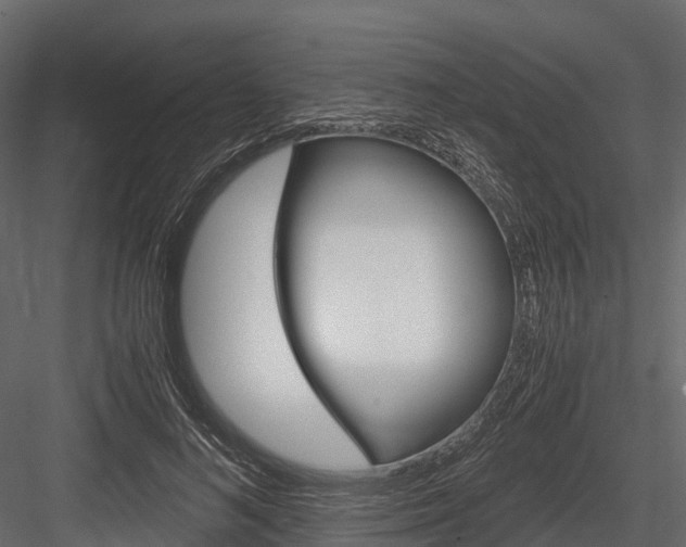 X0000084550692200702230935