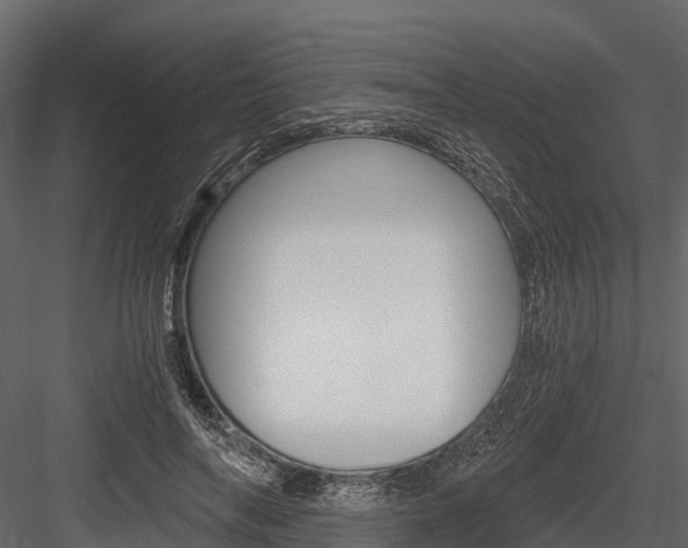 X0000084550694200702230935
