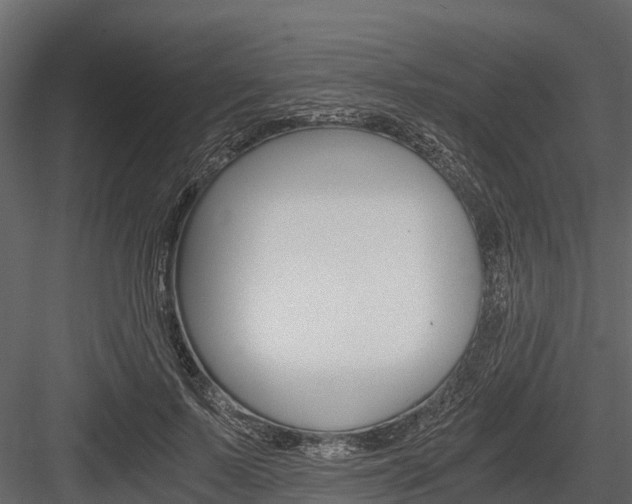 X0000084550695200702230935