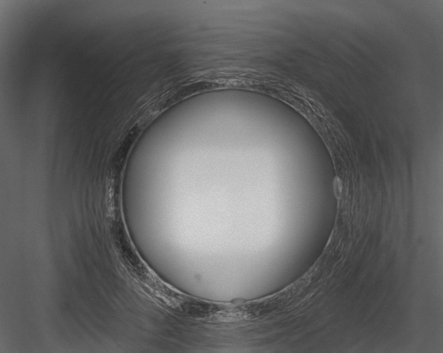 X0000084550696200702230935