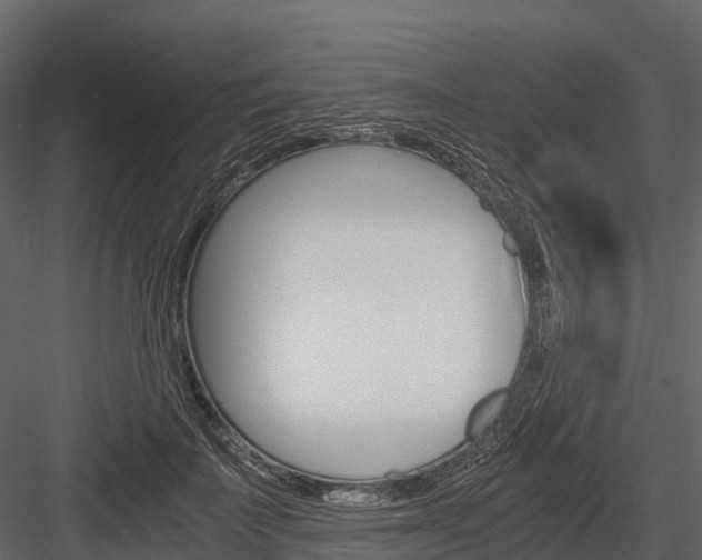 X0000084550699200702230935