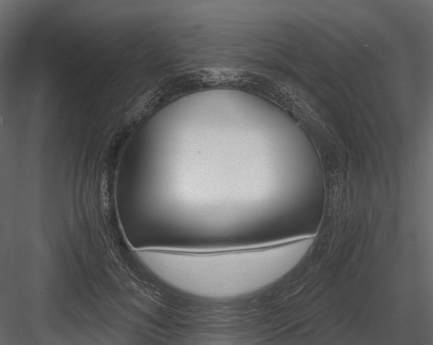 X0000084550700200702230935