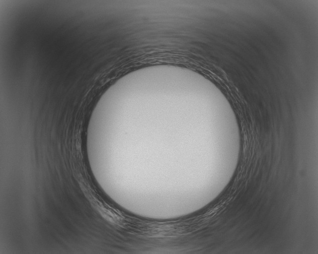 X0000084550701200702230935
