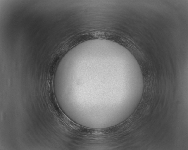 X0000084550702200702230935