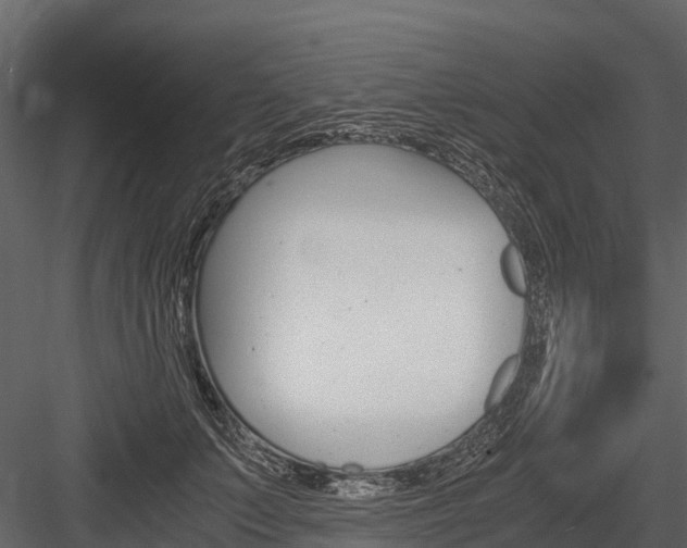 X0000084550703200702230935
