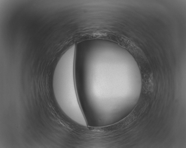 X0000084550704200702230935