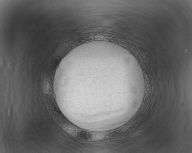 X0000084550709200702230935