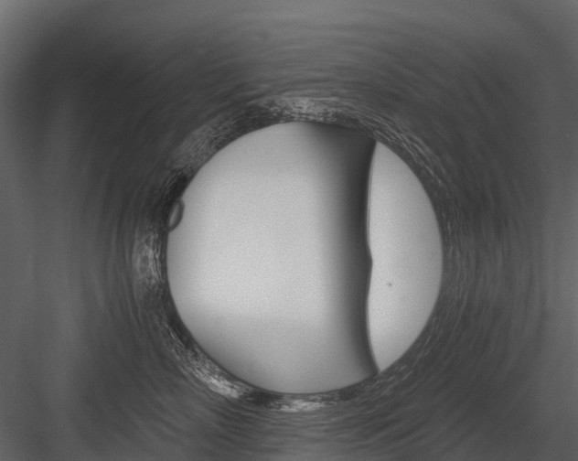 X0000084550718200702230935