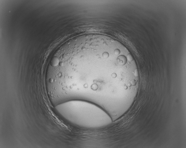 X0000084550721200702230934