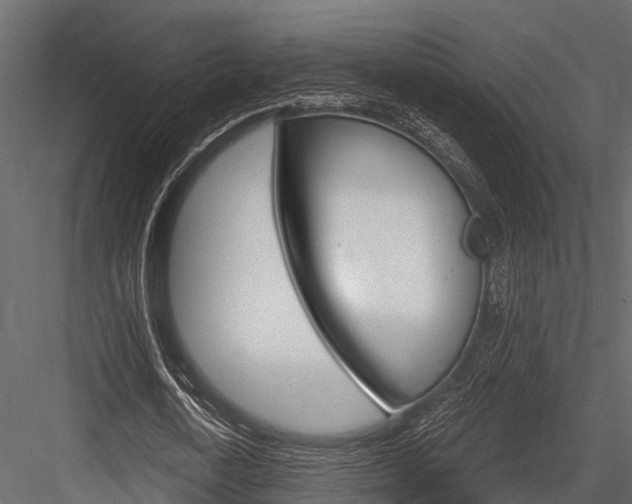 X0000084550722200702230934