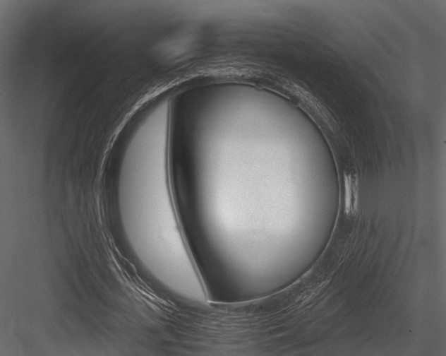 X0000084550723200702230934