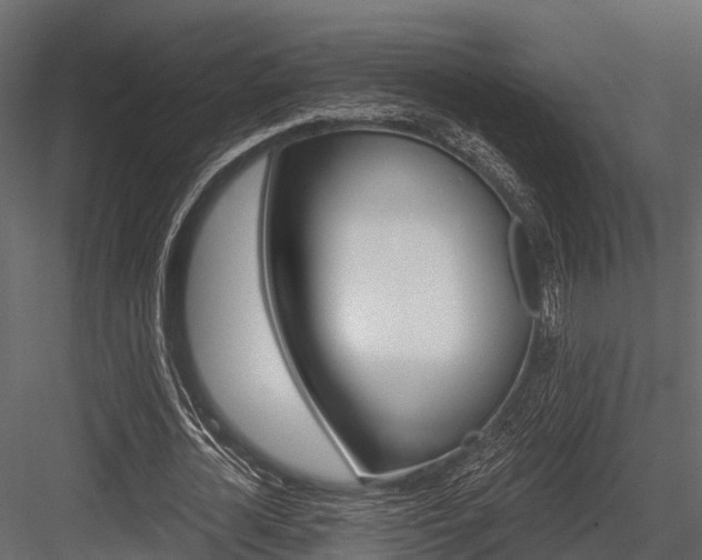 X0000084550724200702230934