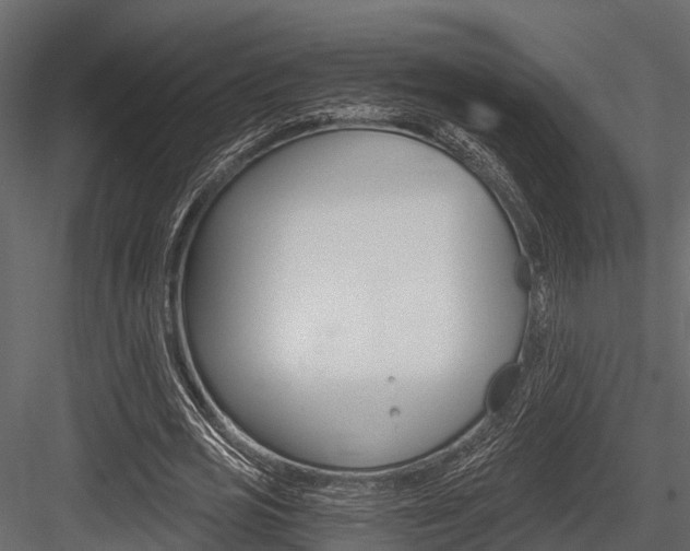 X0000084550725200702230934
