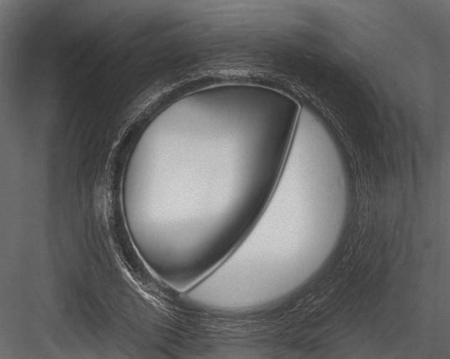 X0000084550728200702230934