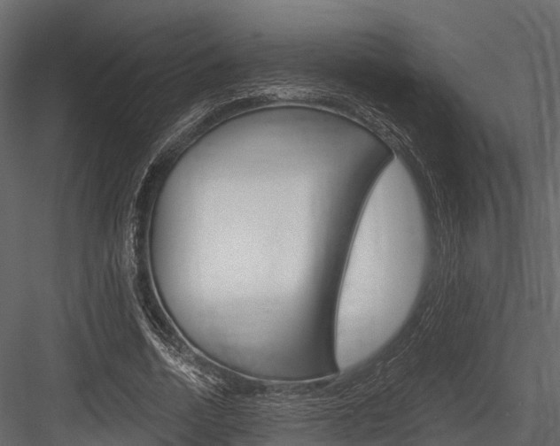 X0000084550730200702230934
