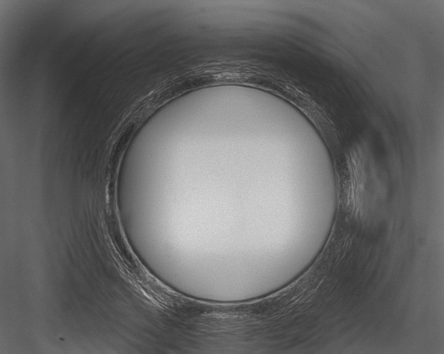X0000084550733200702230934