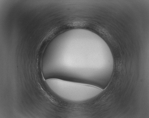 X0000084550735200702230934