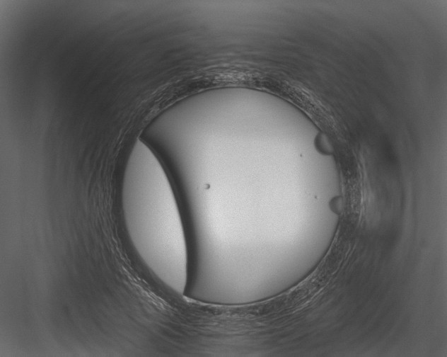 X0000084550737200702230934