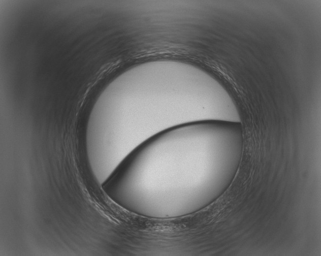 X0000084550738200702230934