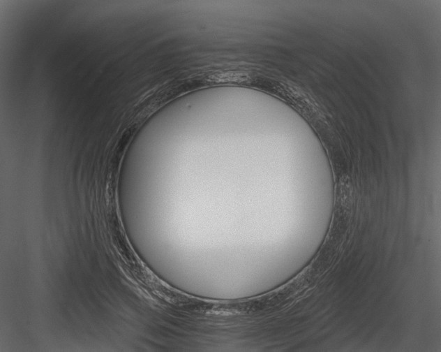 X0000084550741200702230934