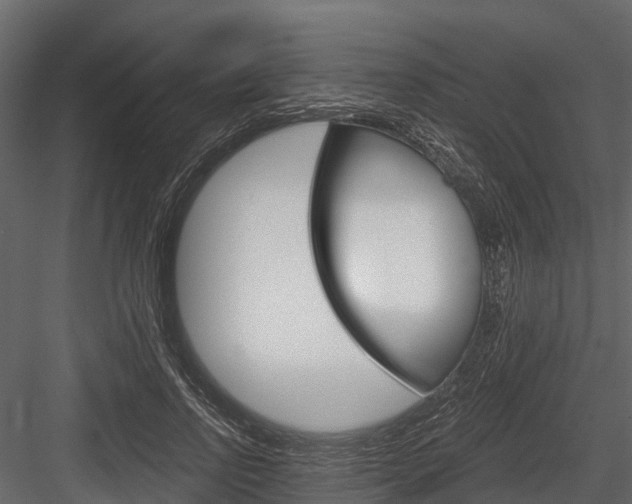 X0000084550742200702230934