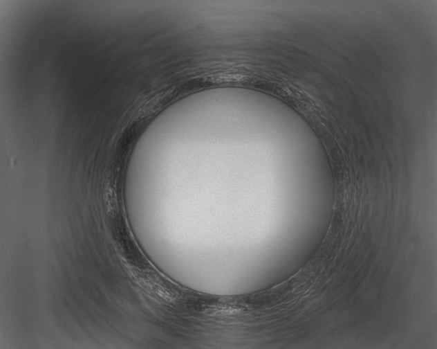 X0000084550743200702230934