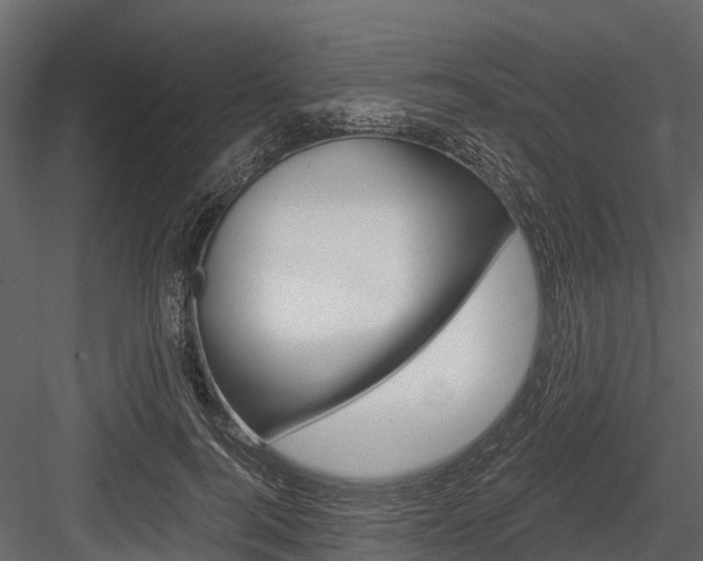 X0000084550744200702230934