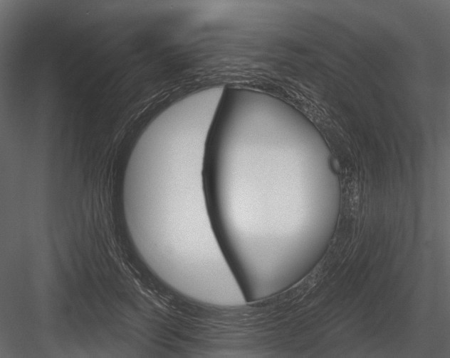 X0000084550746200702230934