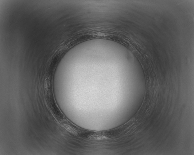 X0000084550747200702230934