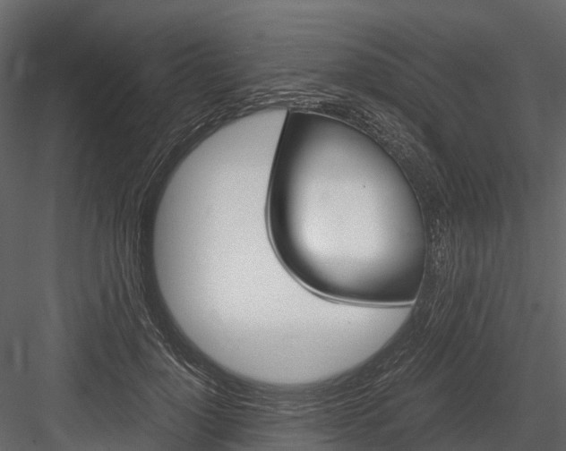 X0000084550748200702230934