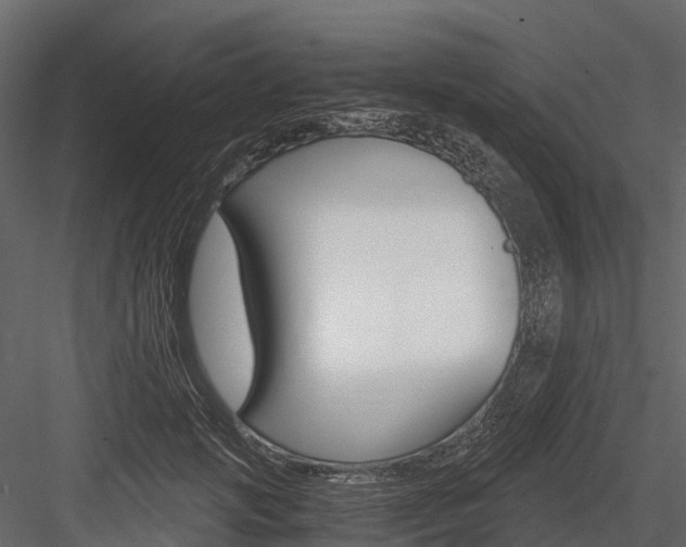 X0000084550749200702230934