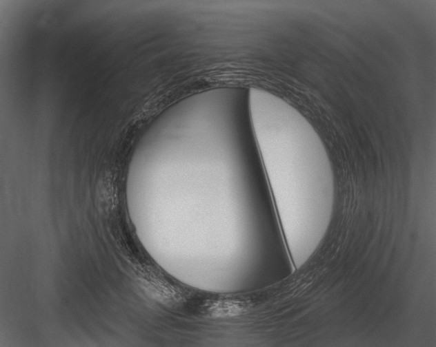 X0000084550751200702230934