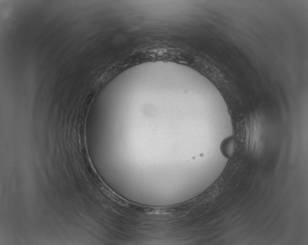 X0000084550754200702230935