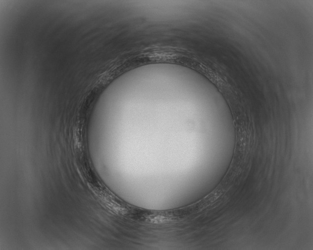 X0000084550755200702230935