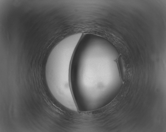 X0000084550756200702230935