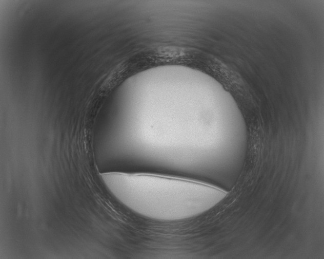 X0000084550758200702230935