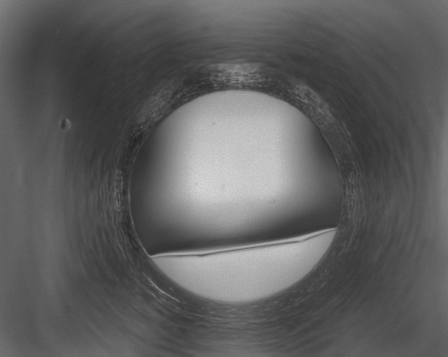 X0000084550760200702230935