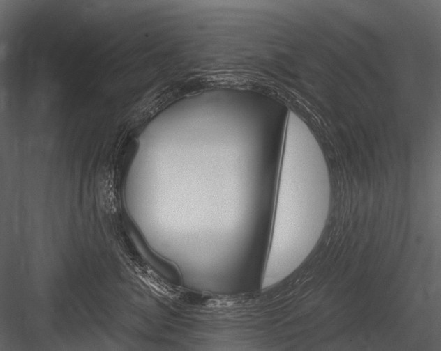 X0000084550764200702230935