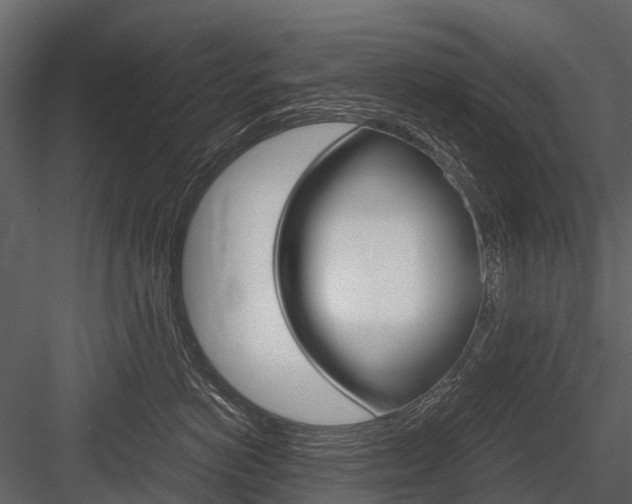 X0000084550766200702230935