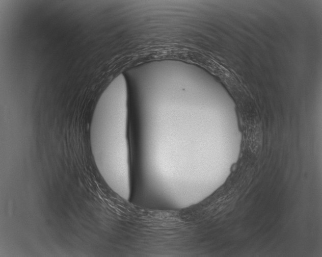 X0000084550770200702230934