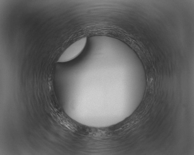 X0000084550772200702230934