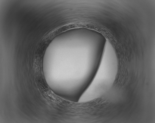 X0000084550773200702230934