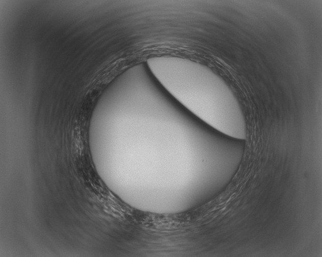 X0000084550774200702230934