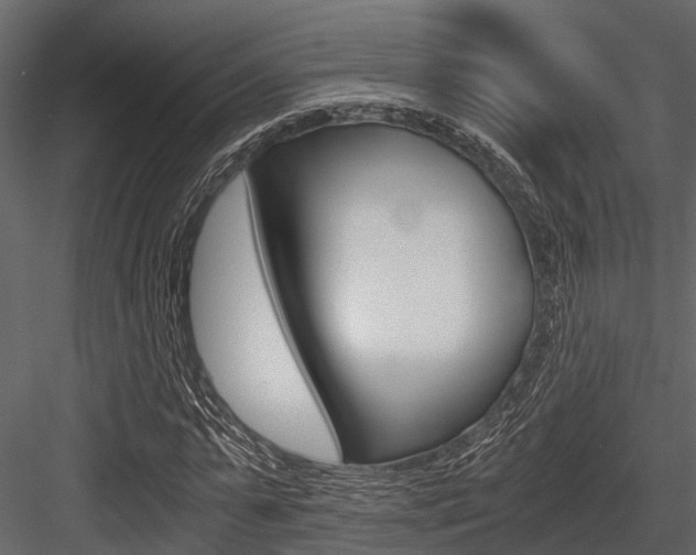 X0000084550775200702230934