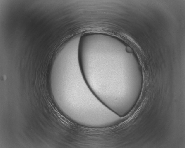 X0000084550777200702230934