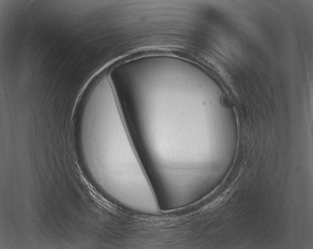 X0000084550779200702230934