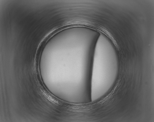 X0000084550780200702230934