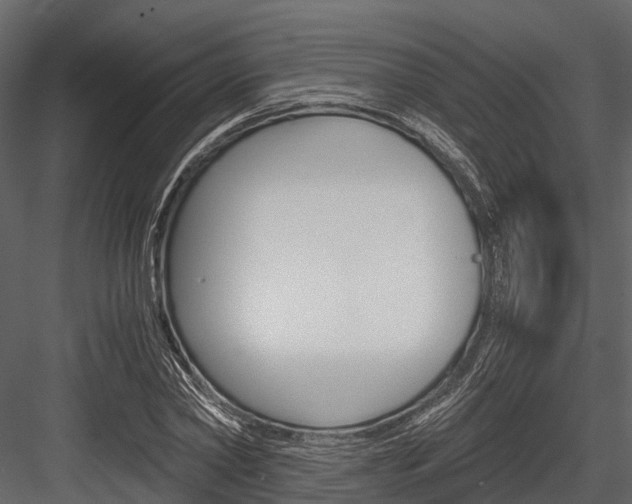 X0000084550782200702230934