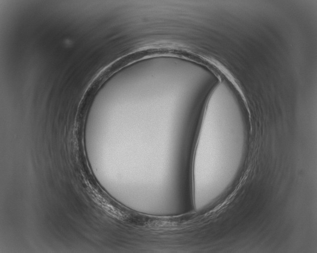 X0000084550783200702230934